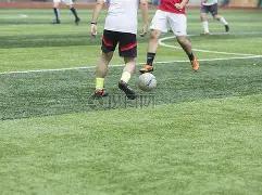 罗马加速锁,定齐尔克泽,意甲豪门领,j9,j9游会,九游会官网,九游会体育