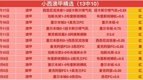 解码澳超焦点战：阿德莱德联VS喷气机深度剖析，揭秘精彩比分预测！