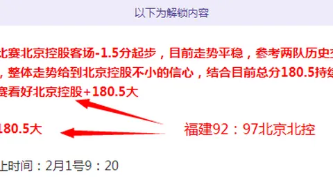 柏林联VS不来梅：德甲第34轮焦点战