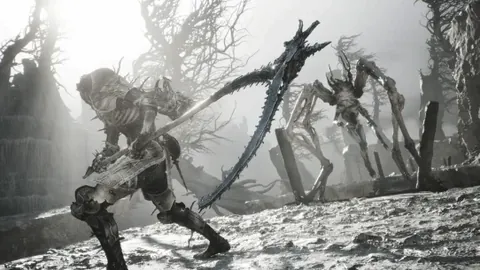 卡塔尔2025年世界杯预选赛积分排行榜